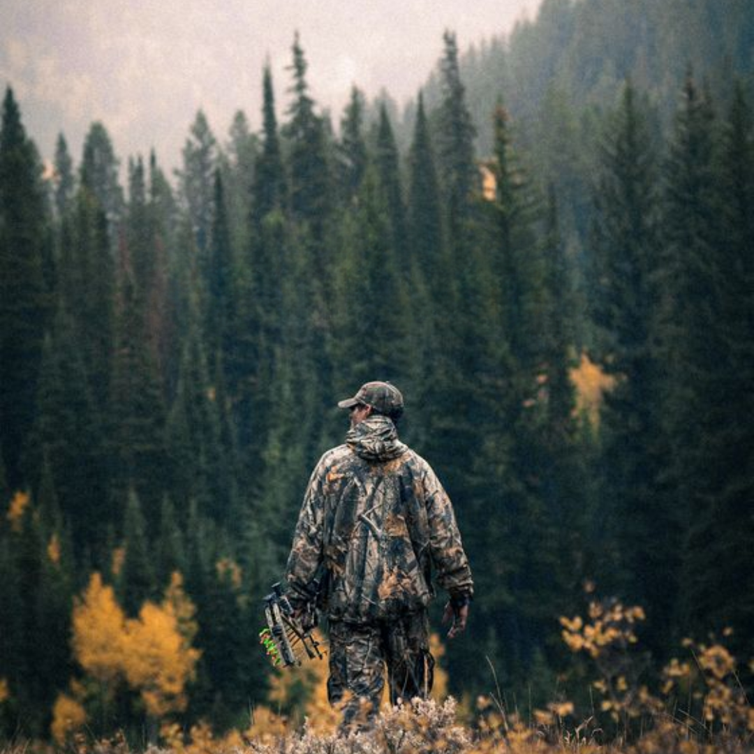 Bear Hunt 2026